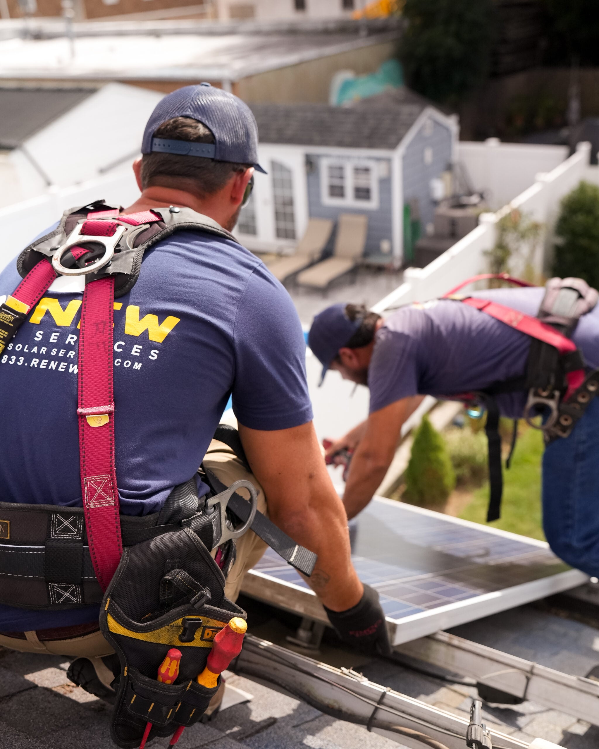 Renew Solar Services-1